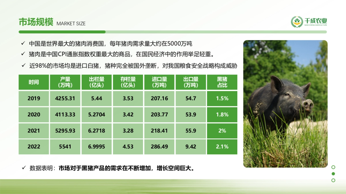 全域化布局农业商业计划书_第10页