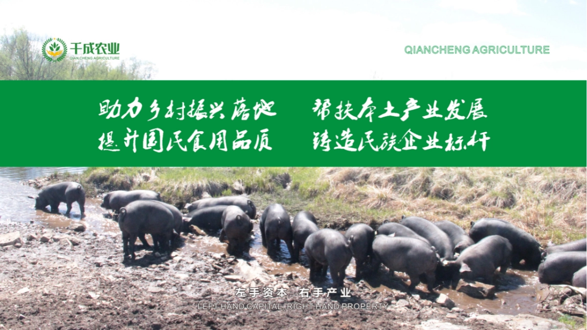 全域化布局农业商业计划书_第5页