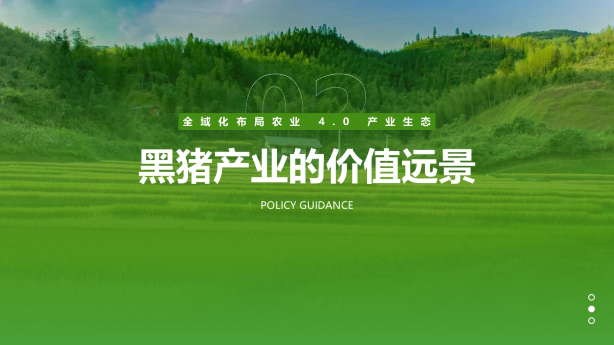 全域化布局农业商业计划书_第9页