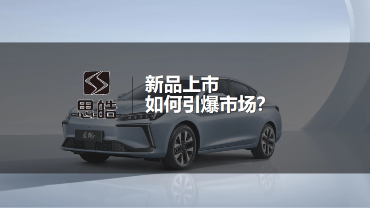 思皓新能源汽车新媒体运营方案_第2页