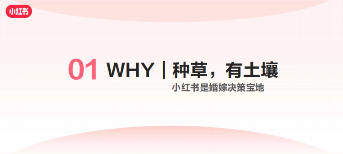 小红书「悦活计划」摄影旅拍行业种草生意经_第6页