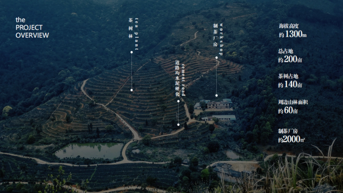 野奢生活云聚茶园招商方案_第4页