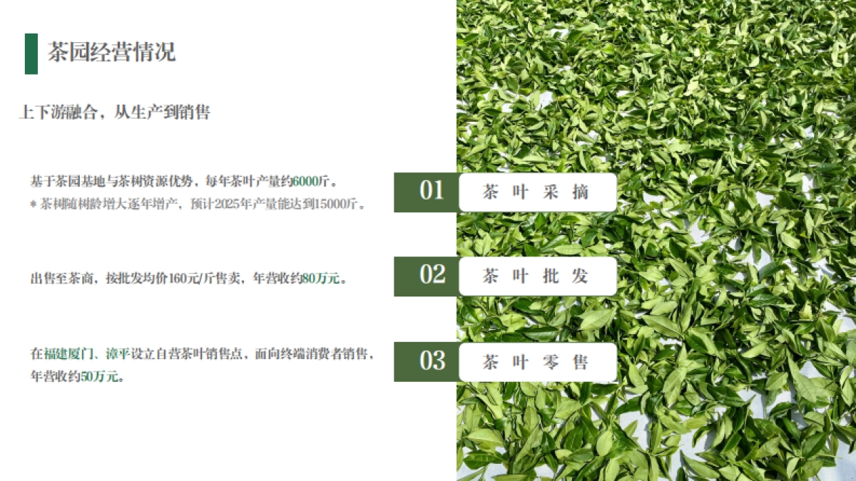 野奢生活云聚茶园招商方案_第5页