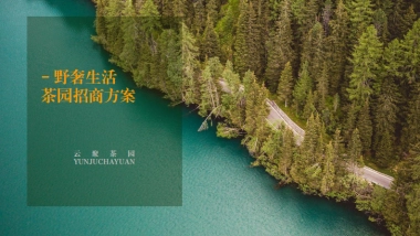 野奢生活云聚茶园招商方案