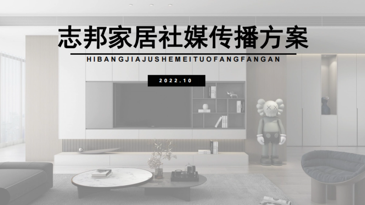 志邦家居社媒传播方案_第1页