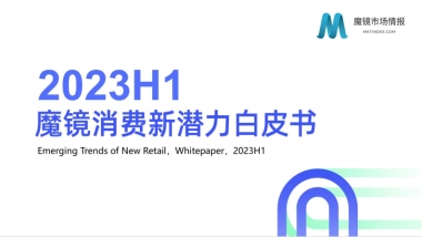 2023年H1消费新潜力白皮书-魔镜市场情报