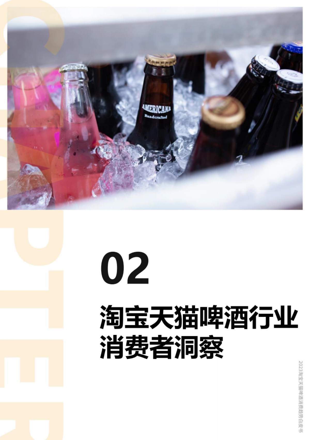 2023淘宝天猫啤酒趋势白皮书_第10页