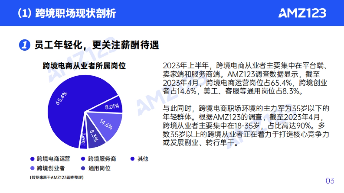 AMZ123：2023上半年度跨境电商行业调研报告_第5页