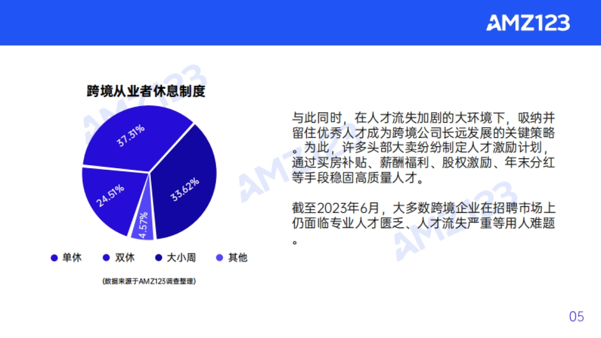 AMZ123：2023上半年度跨境电商行业调研报告_第7页