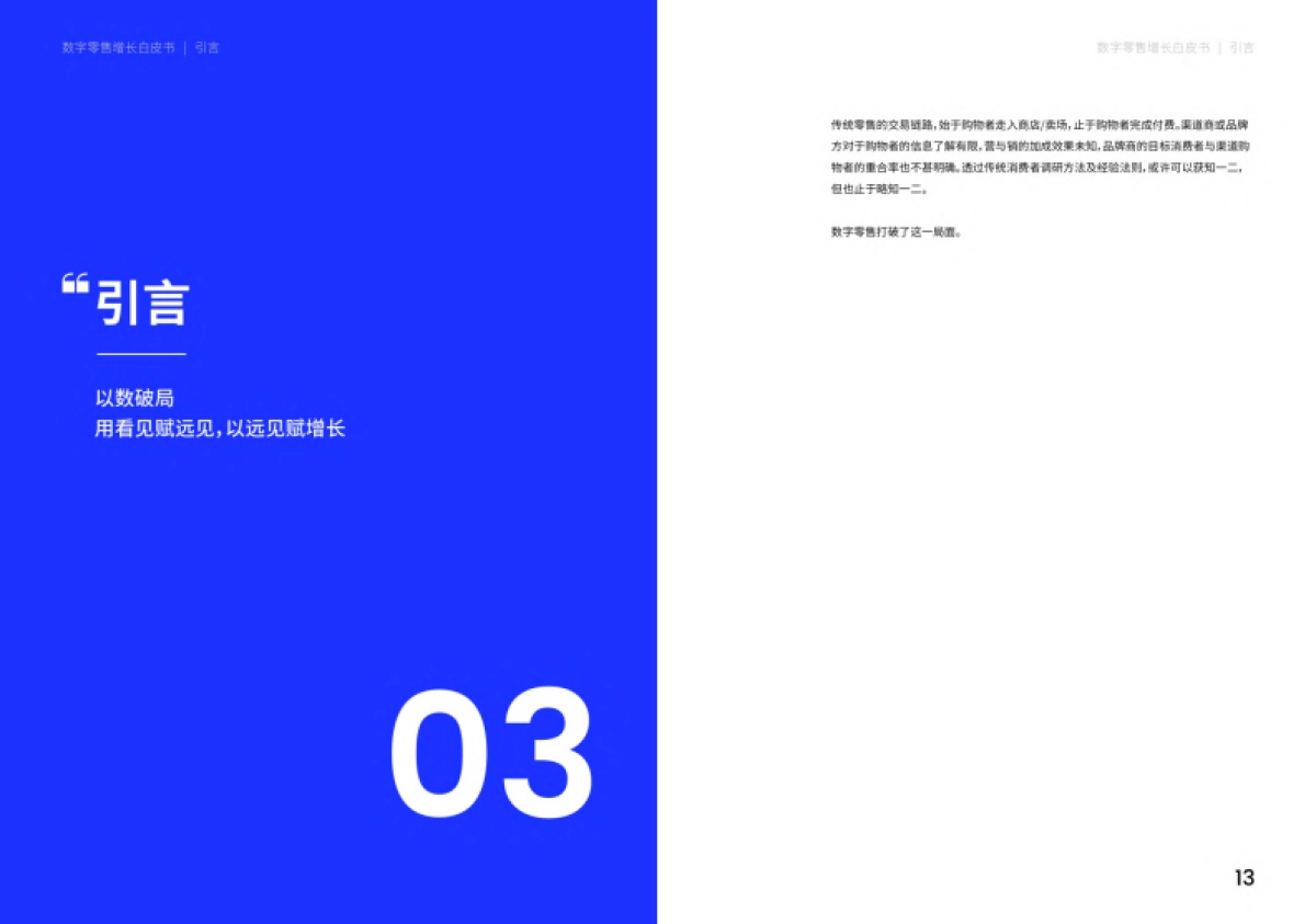 Nint任拓：2023数字零售增长白皮书_第7页
