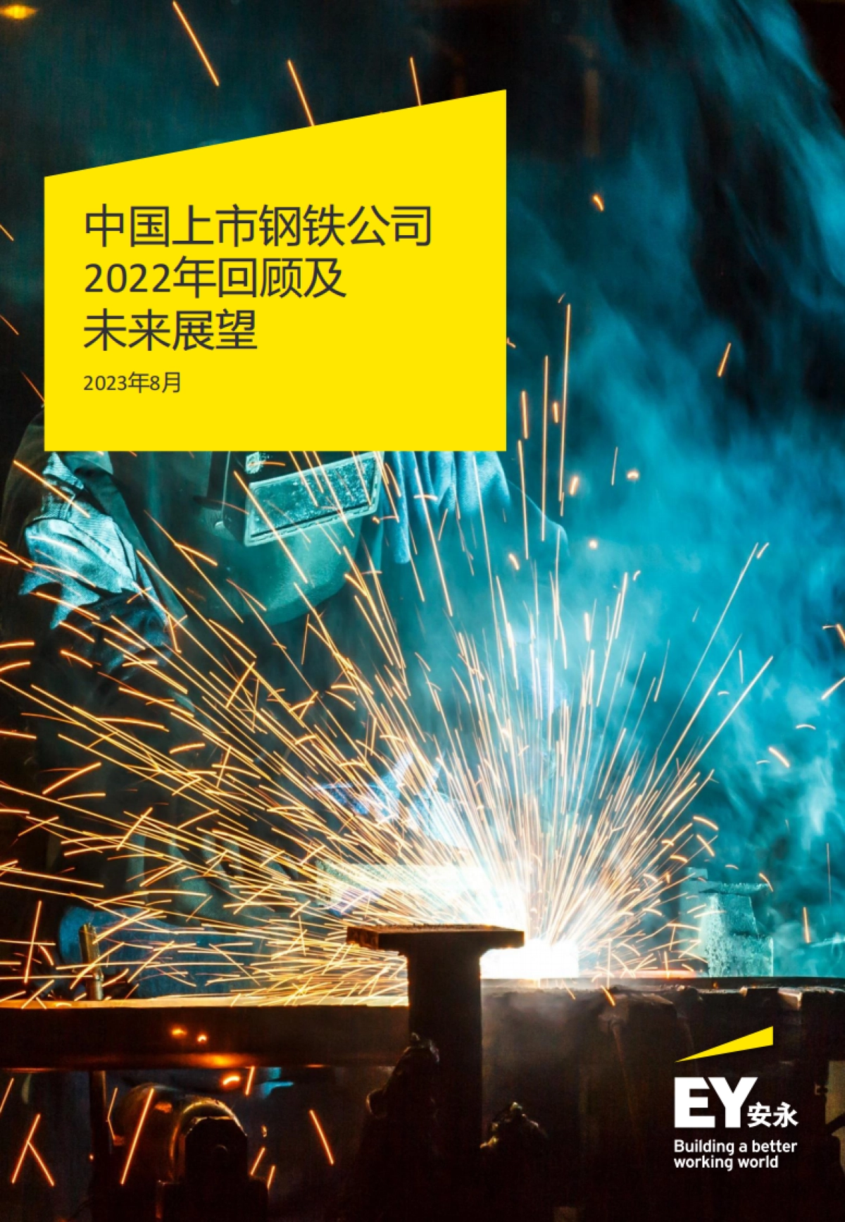 安永：中国上市钢铁公司2022年回顾及未来展望报告_第1页