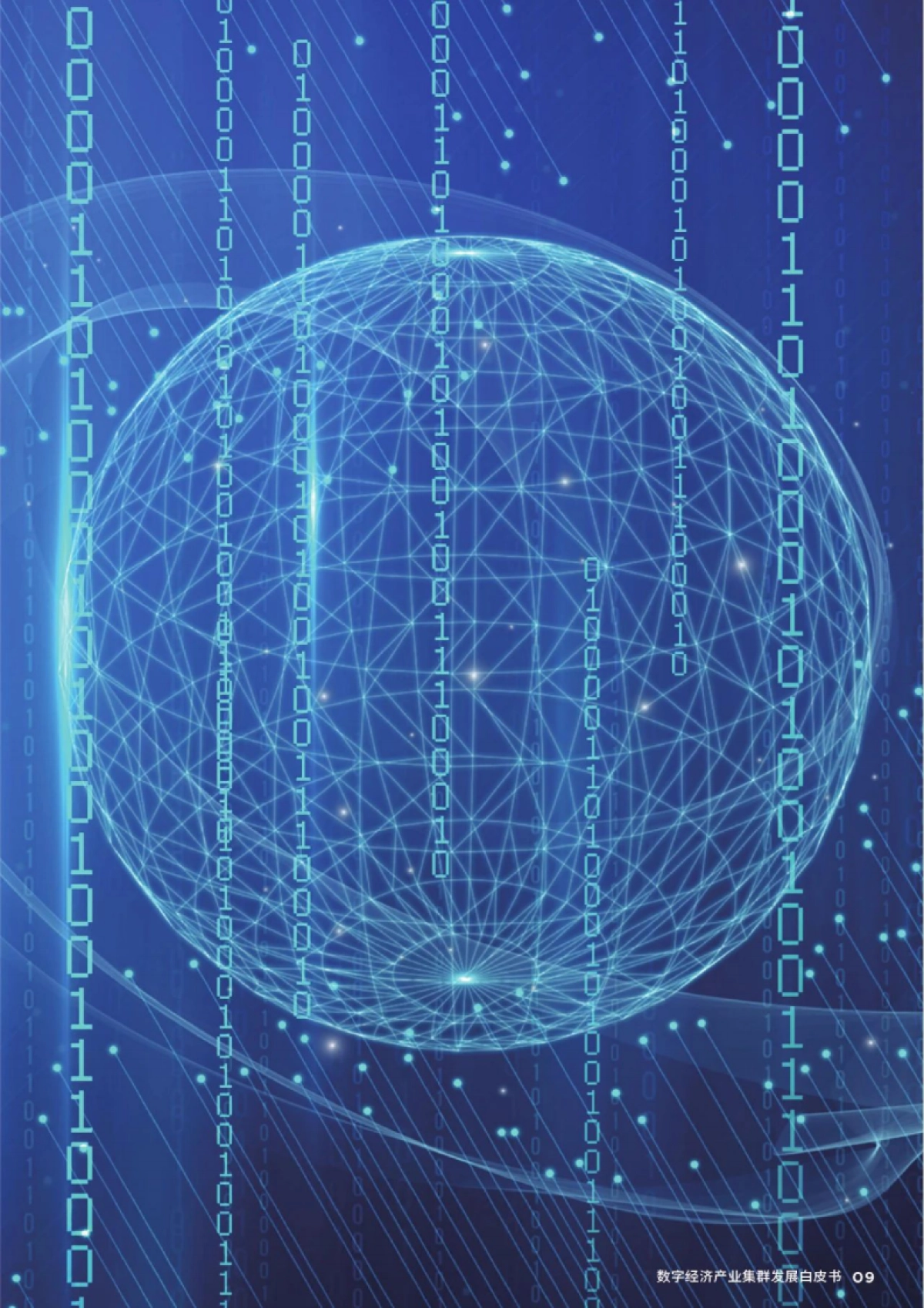 戴德梁行:2023年数字经济产业集群发展白皮书_第9页