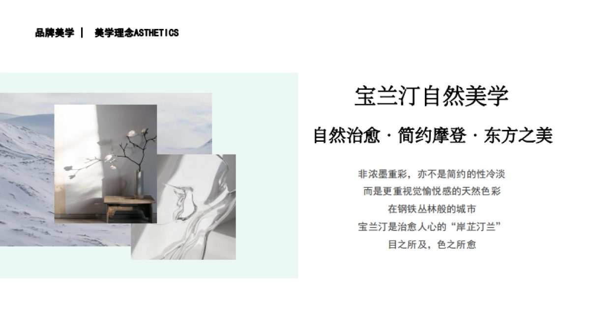 宝兰汀品牌介绍_第7页