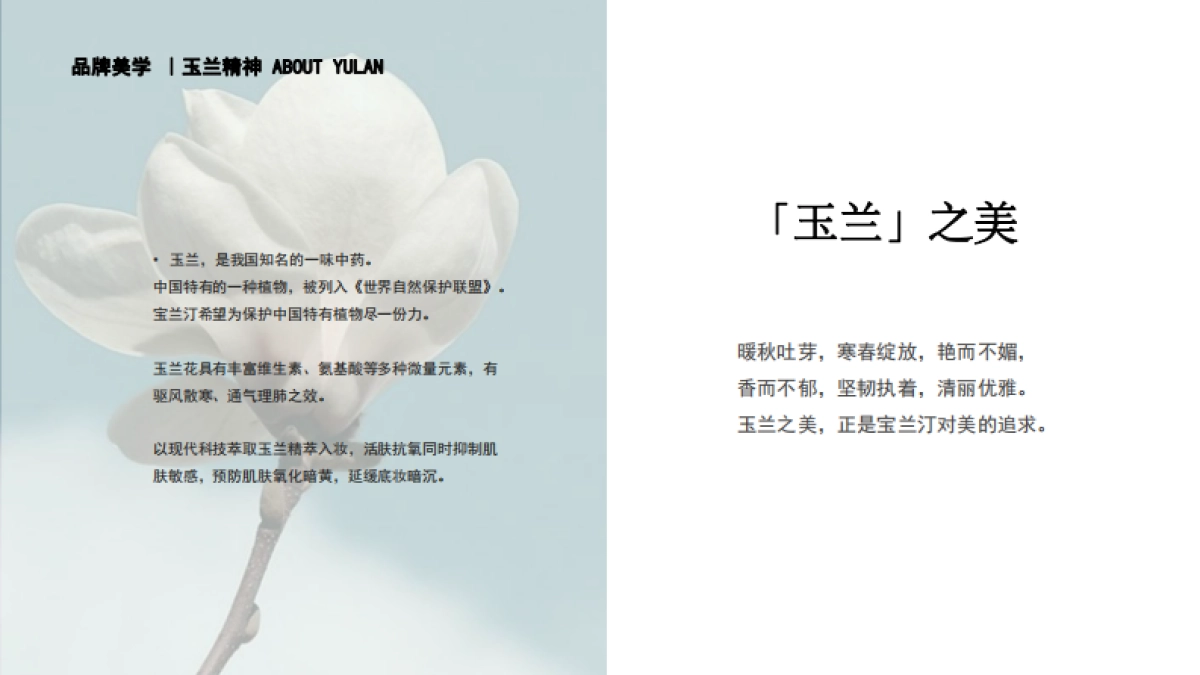 宝兰汀品牌介绍_第8页