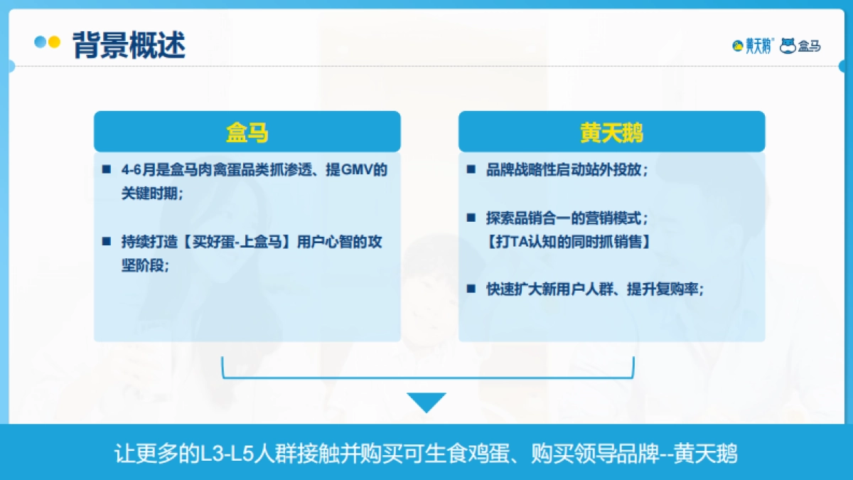 黄天鹅&盒马营销合作方案2021_第2页