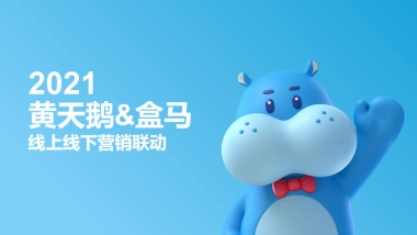 黄天鹅&盒马营销合作方案2021