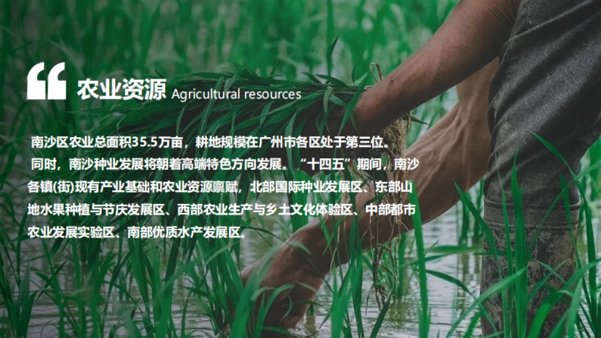 南沙项目策划及核心区概念性规划_第10页