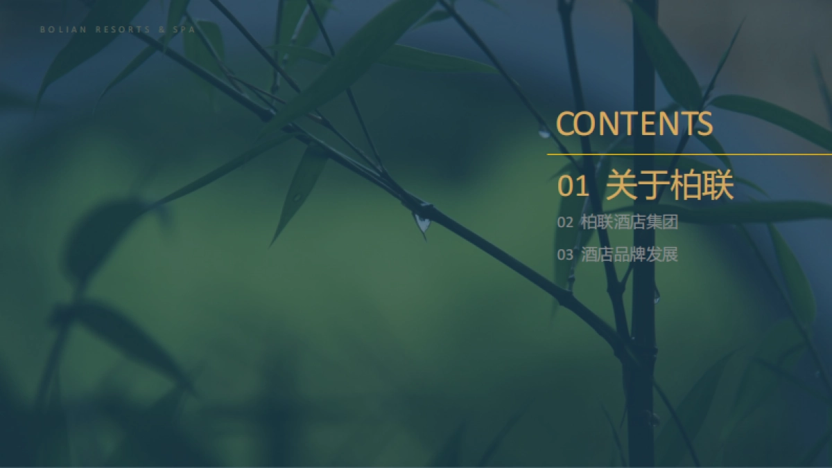 品牌手册丨柏联酒店集团_第2页