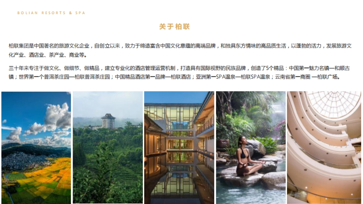 品牌手册丨柏联酒店集团_第3页