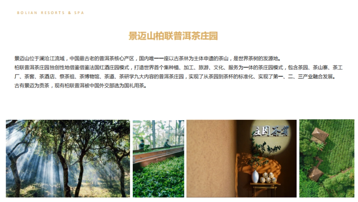 品牌手册丨柏联酒店集团_第5页