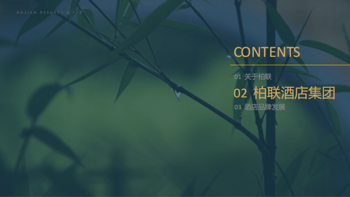 品牌手册丨柏联酒店集团_第6页