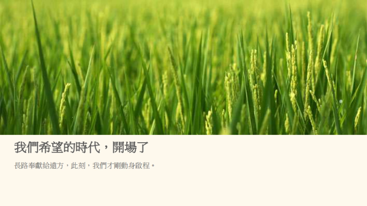 台湾农业文创食品案例-掌声谷粒_第10页