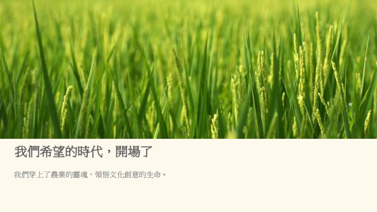 台湾农业文创食品案例-掌声谷粒_第3页