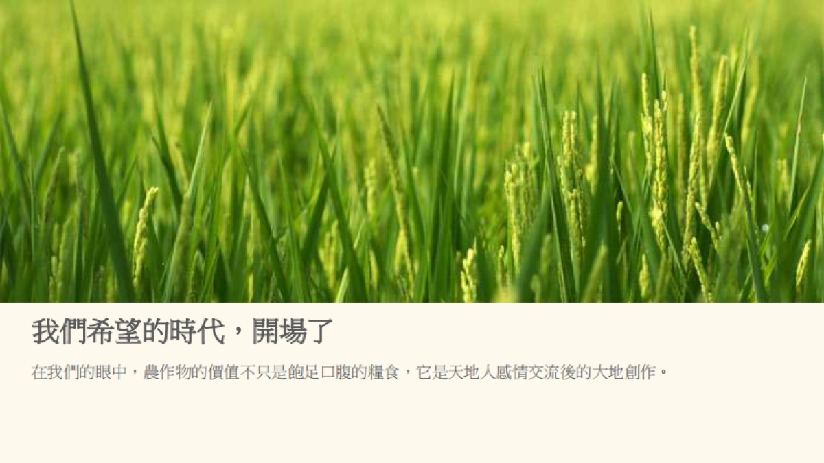 台湾农业文创食品案例-掌声谷粒_第5页