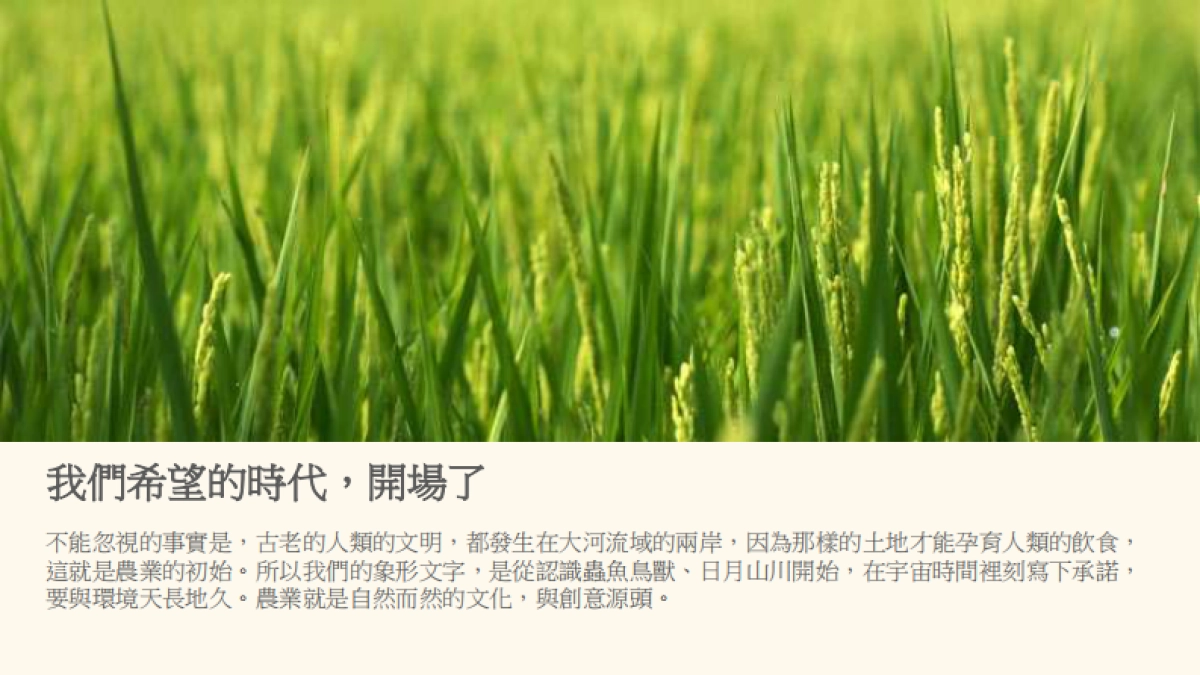 台湾农业文创食品案例-掌声谷粒_第7页