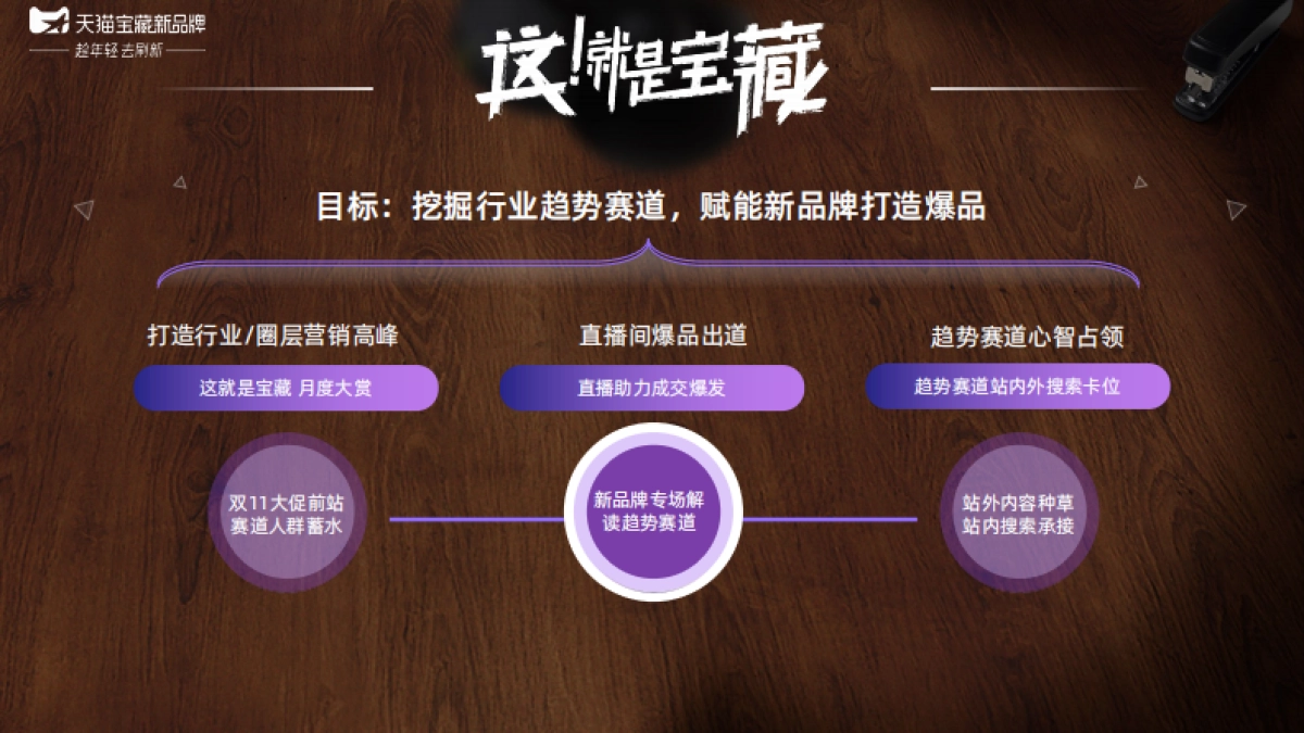 天猫IP介绍：宝藏新品牌-这就是宝藏_第2页