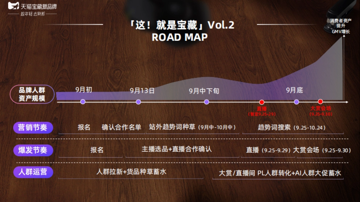 天猫IP介绍：宝藏新品牌-这就是宝藏_第8页