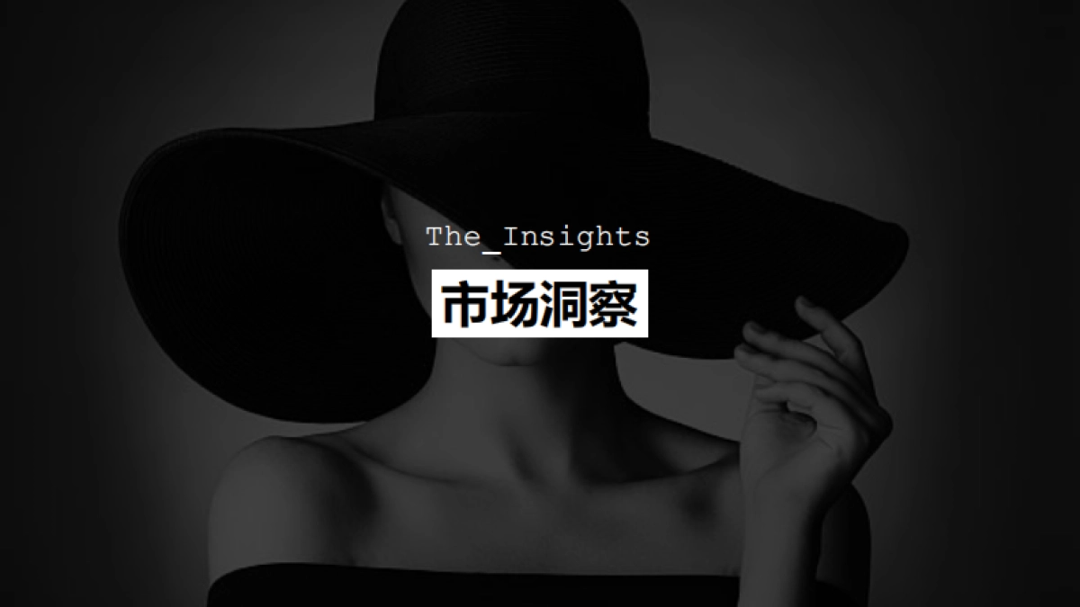 天猫国际数码家电行业美颜联盟整合营销方案_第2页