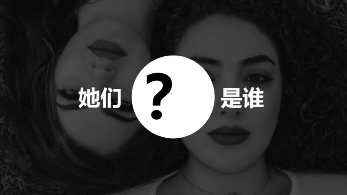 天猫国际数码家电行业美颜联盟整合营销方案_第4页