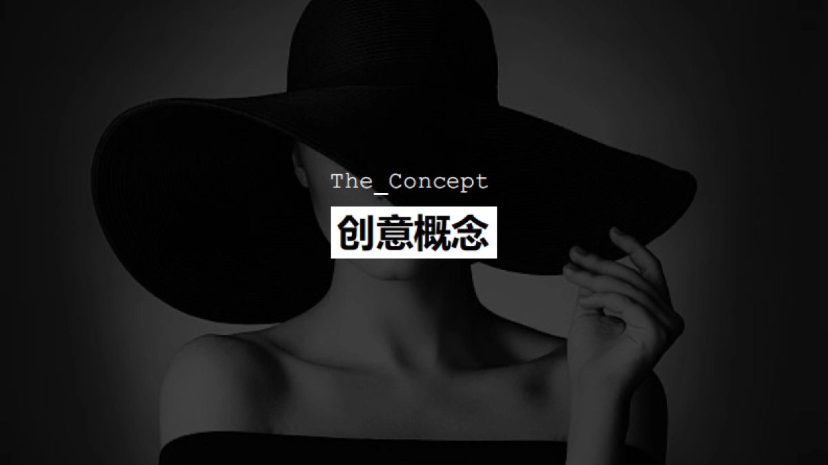 天猫国际数码家电行业美颜联盟整合营销方案_第8页