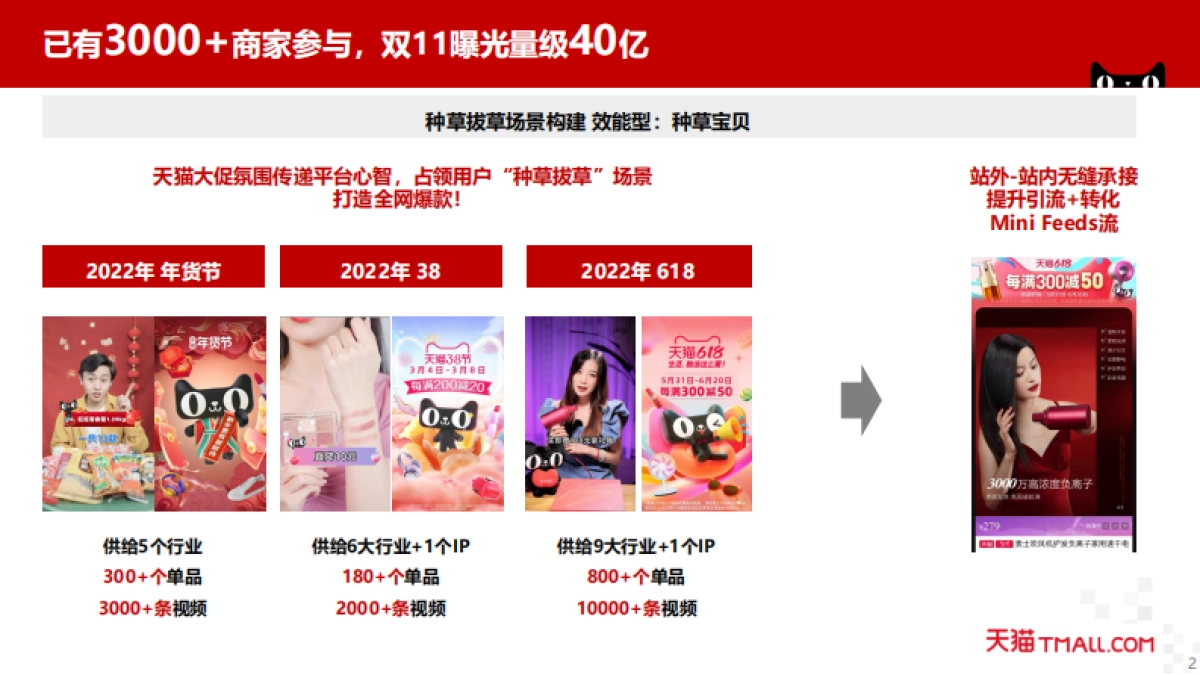 天猫双11短视频“种草宝贝“项目_第3页