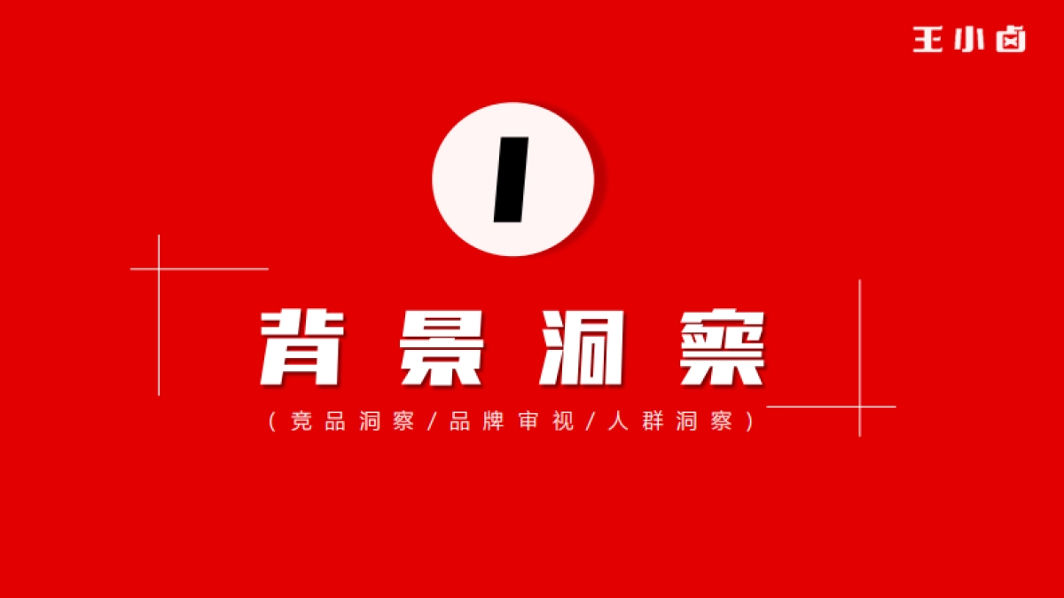 王小卤卤味肉类零食年度品牌营销策划方案_第3页