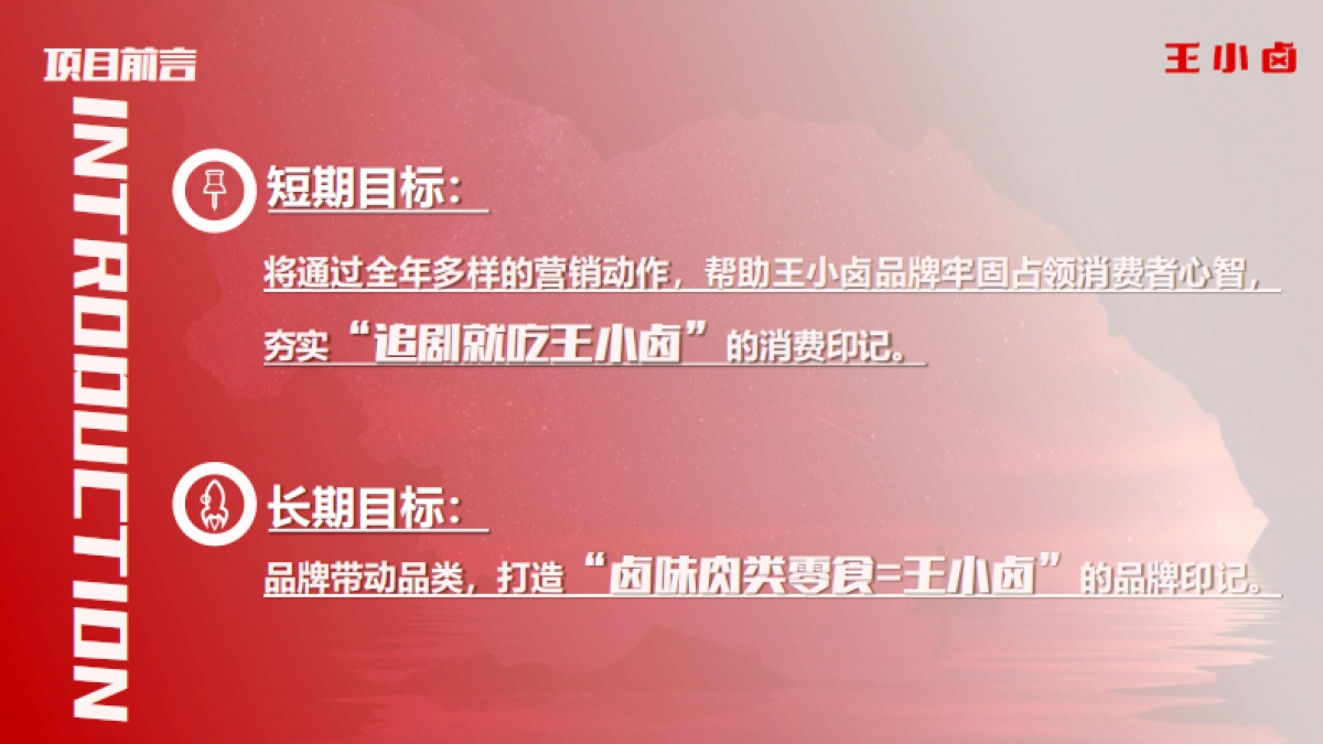 王小卤卤味肉类零食年度品牌营销策划方案_第4页