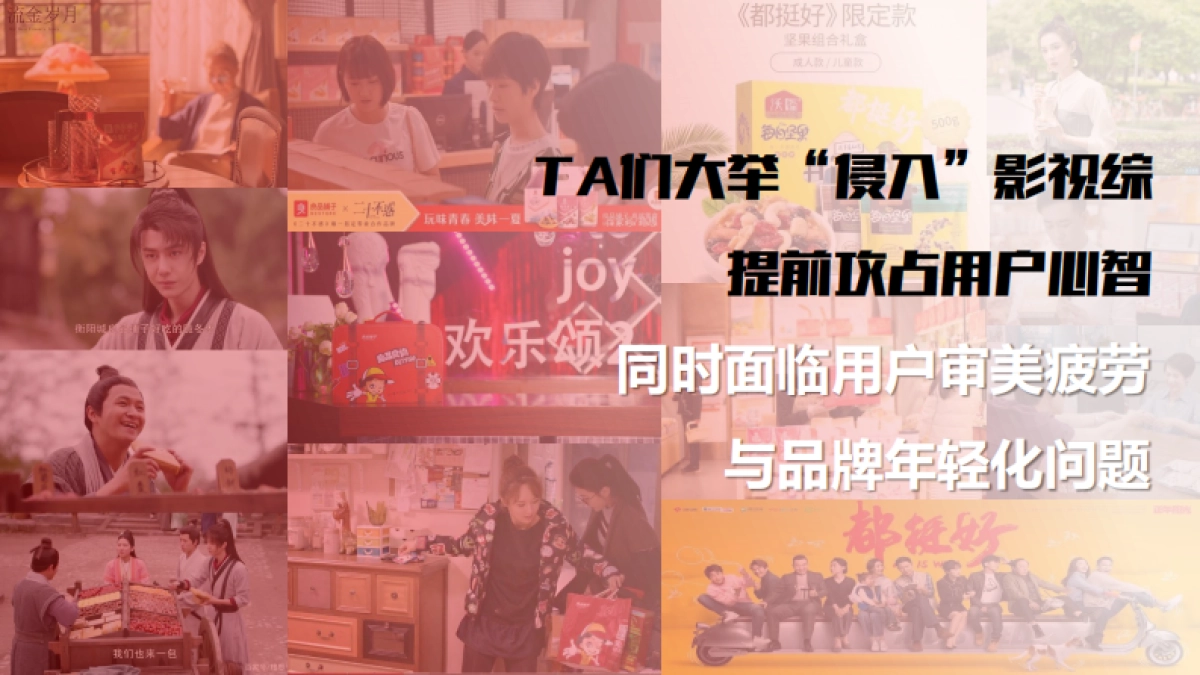 王小卤卤味肉类零食年度品牌营销策划方案_第6页