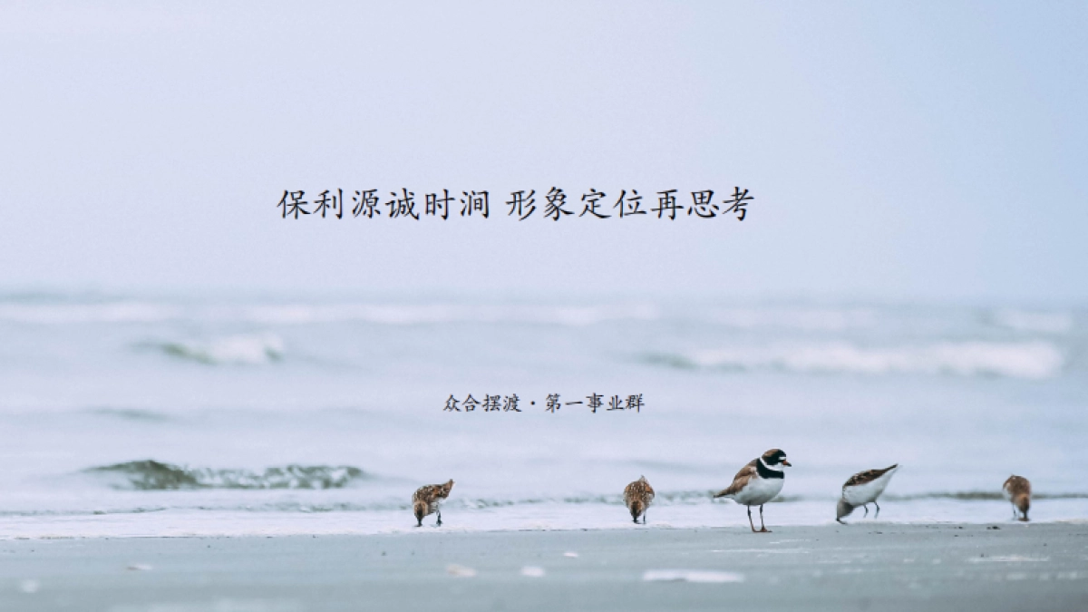 源诚时涧项目形象定位思考方案_第1页