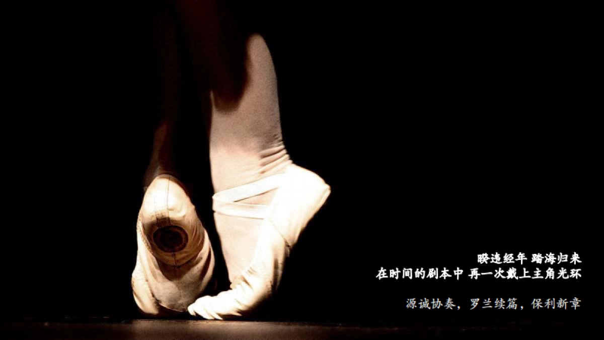 源诚时涧项目形象定位思考方案_第9页