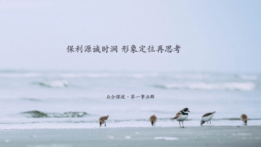 源诚时涧项目形象定位思考方案