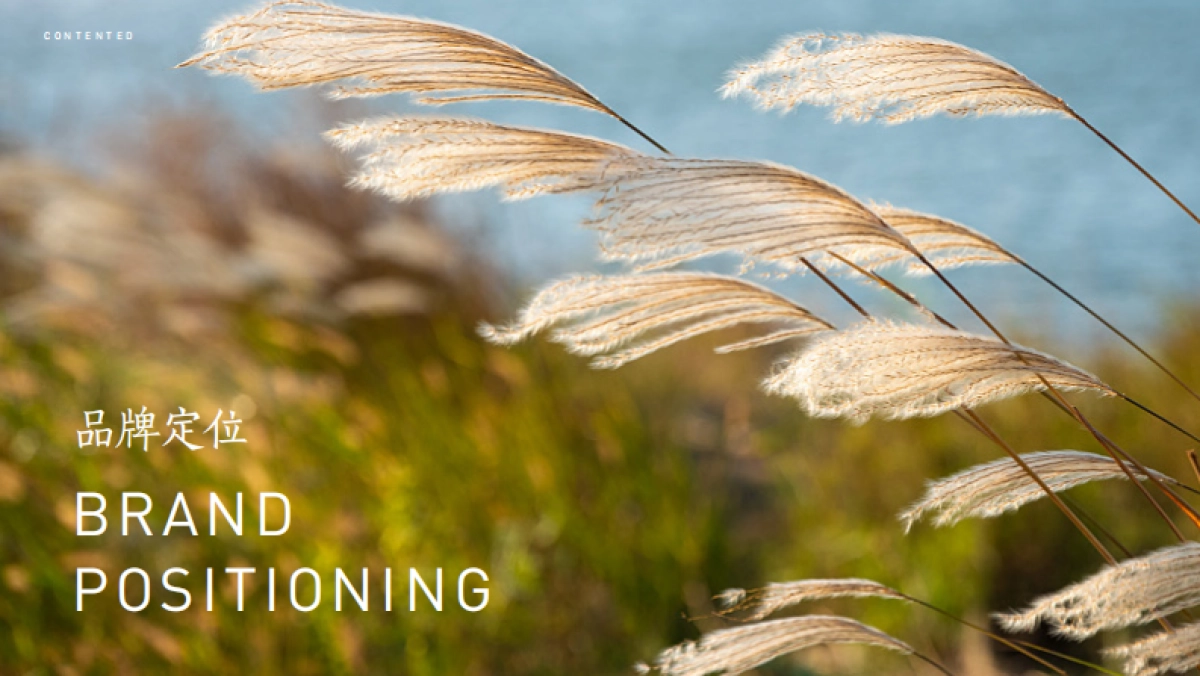 自得驿品牌书_第8页