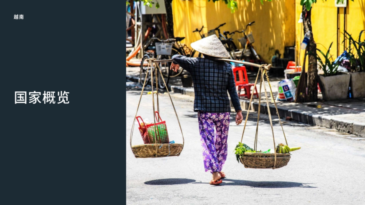 Meta：开拓新市场攻略-越南篇-进入越南市场需了解的资讯和建议_第3页