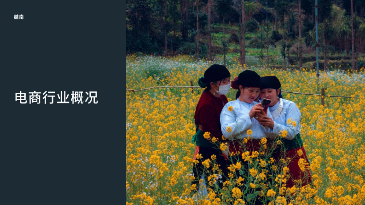 Meta：开拓新市场攻略-越南篇-进入越南市场需了解的资讯和建议_第6页