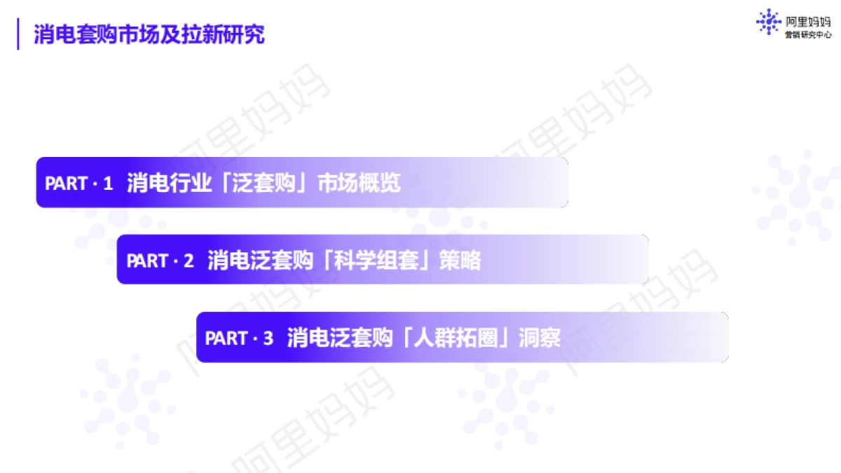 阿里妈妈:2023消电套购白皮书-科学组套,时序拉新_第2页