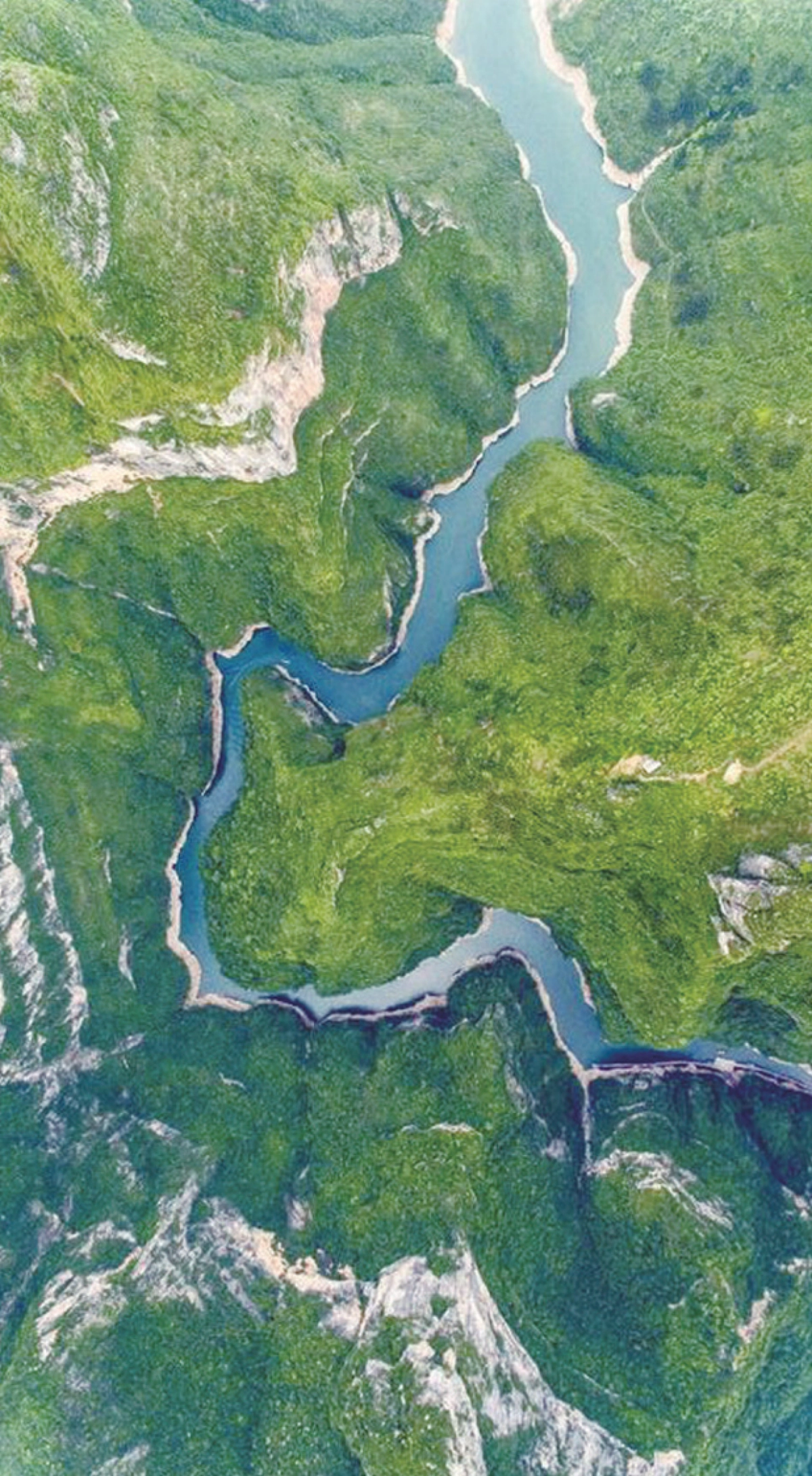 安永:2023可持续供应链发展洞察报告_第2页