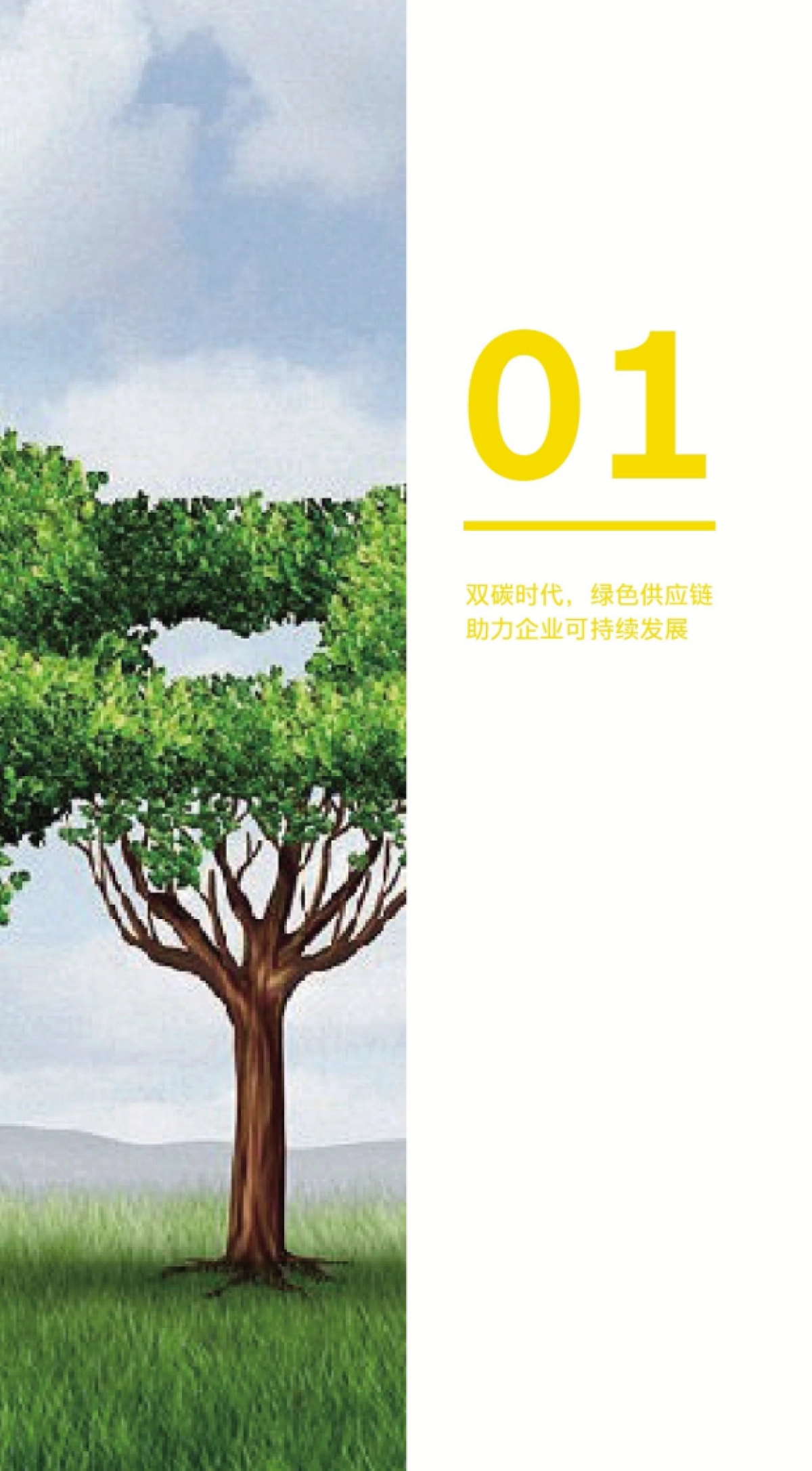 安永:2023可持续供应链发展洞察报告_第5页