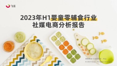 果集行研：2023年H1婴童零辅食行业社媒电商分析报告