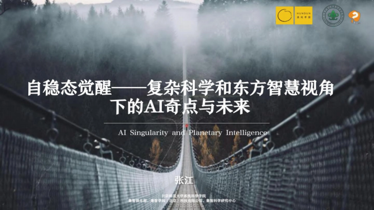 混沌学园：自然态觉醒，复杂科学和东方智慧视角下的AI奇点与未来_第2页