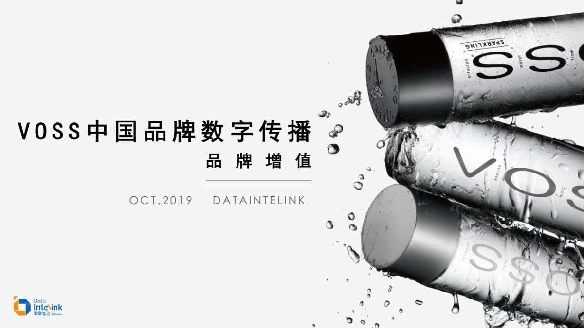 VOSS中国数字传播方案品牌增值_第1页